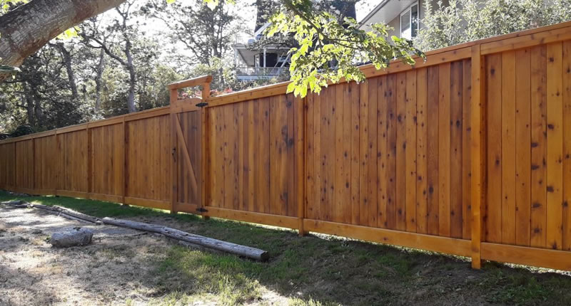 Custom Cedar Fence Construction Greater Victoria BC.
